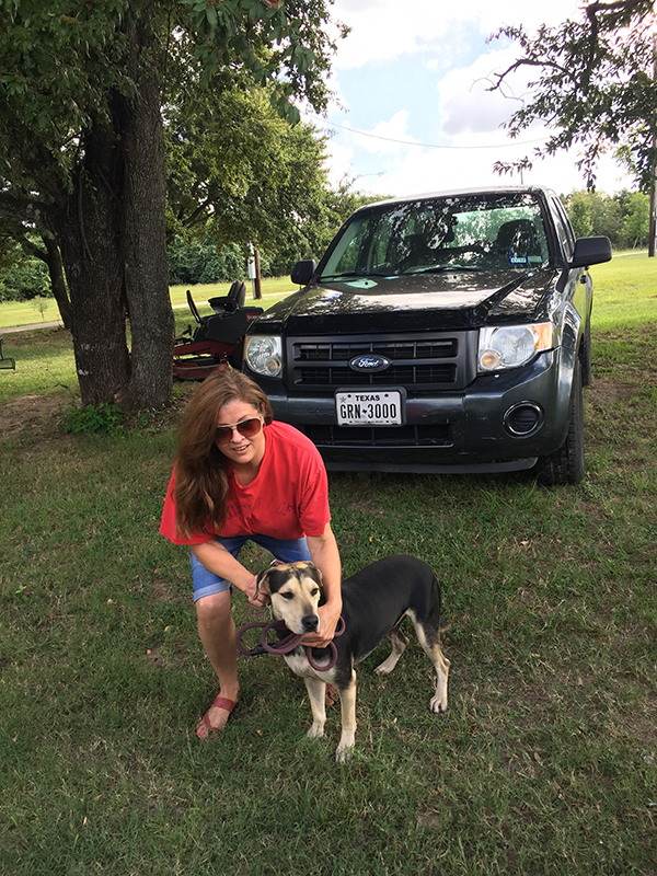 Pet Shipping, Dog Transportation Services, Cat Transport