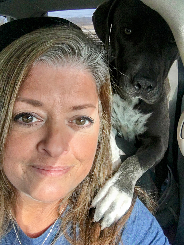 Pet Shipping, Dog Transportation Services, Cat Transport