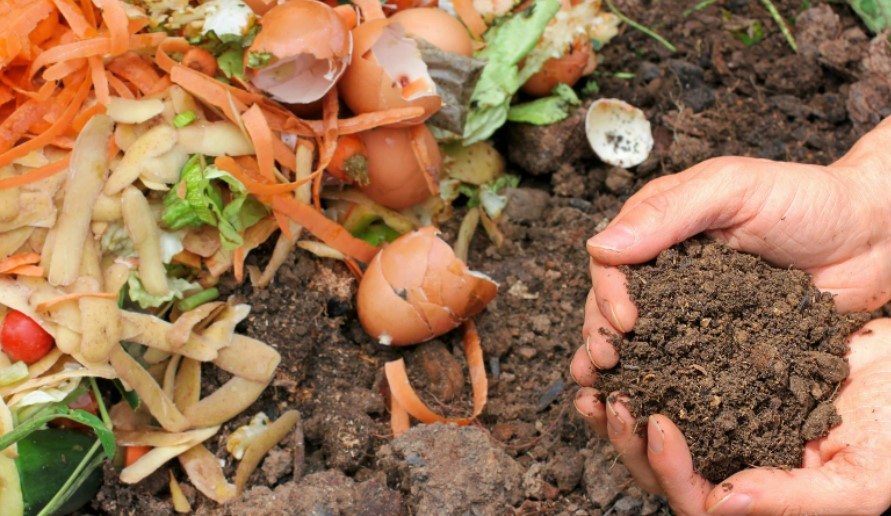 How Does Composting Help the Environment? Express Waste Removal
