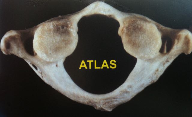 Osteopathy For Acid Reflux In Babies?