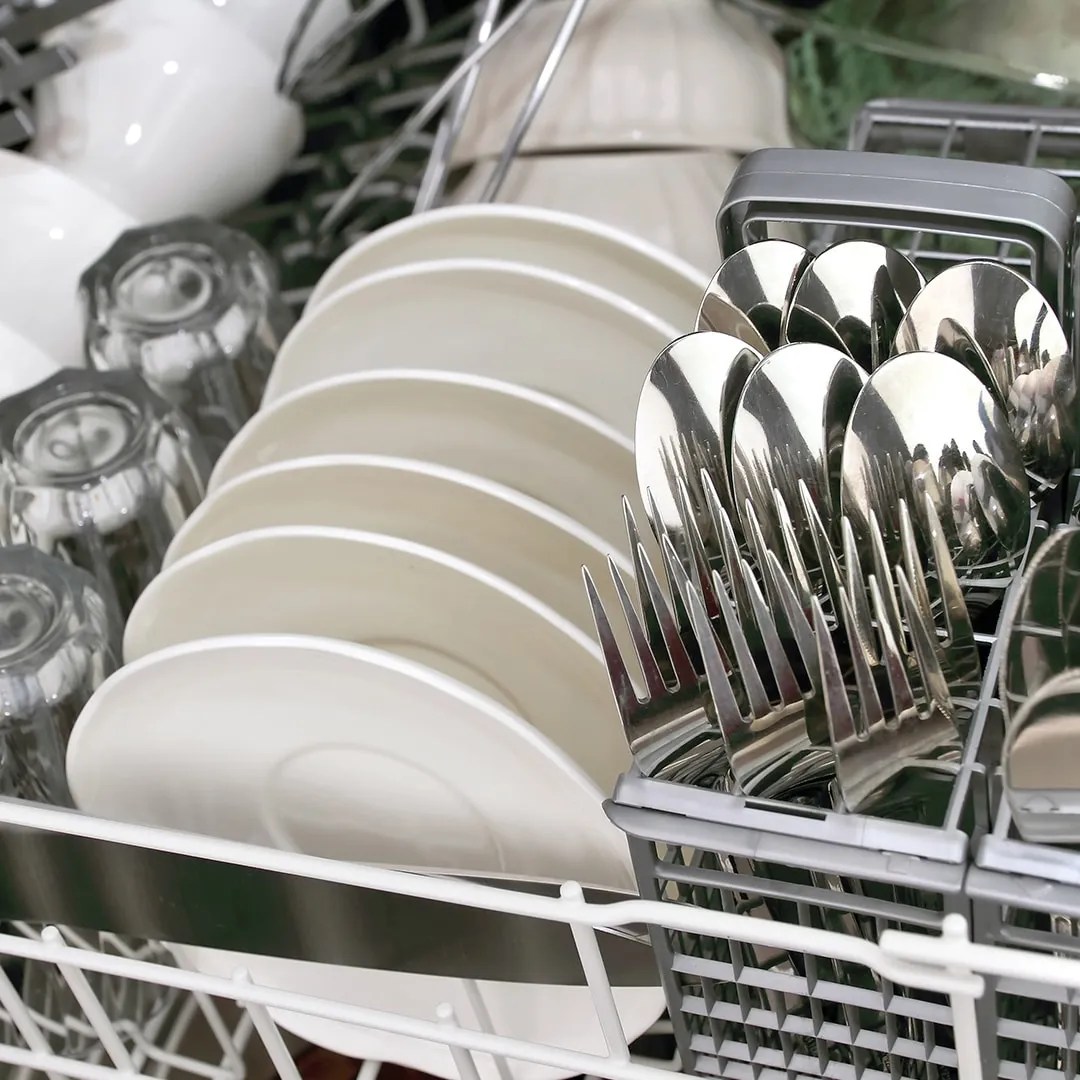 Why Are Ants in My Dishwasher? · ExtermPRO