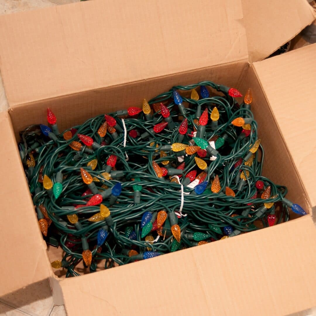 Storing Holiday Decorations to Keep Pests Out · ExtermPRO