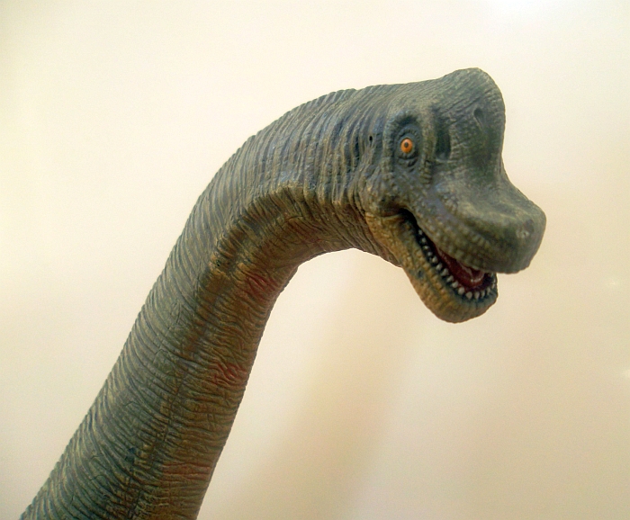 Brachiosaurus Extinct Animals