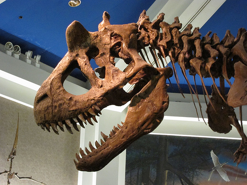 Carnotaurus Facts, Habitat, Diet, Fossils, Pictures