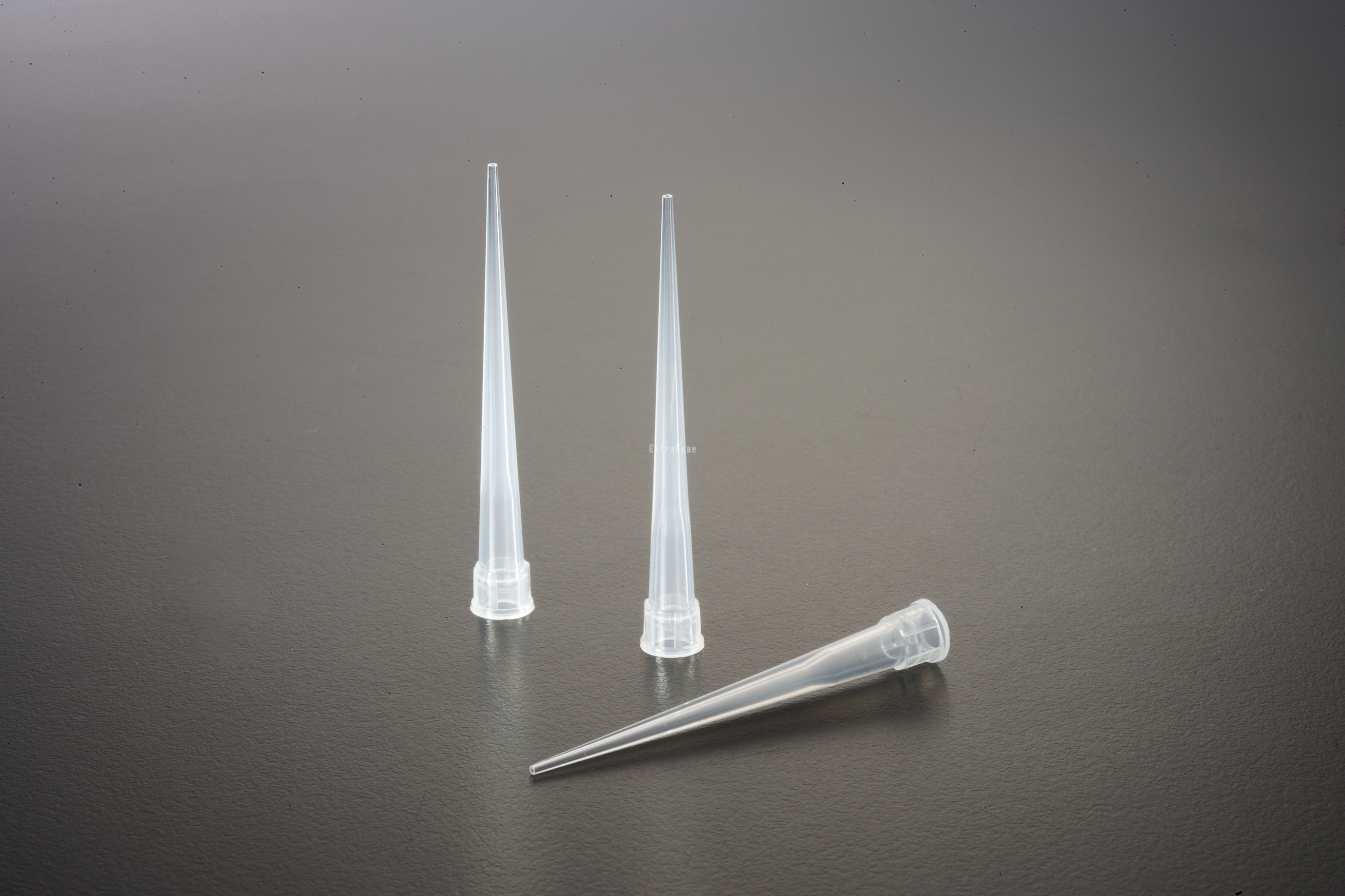 10ul Filter Micropipette Tips DNase/RNase Free ExtraGene