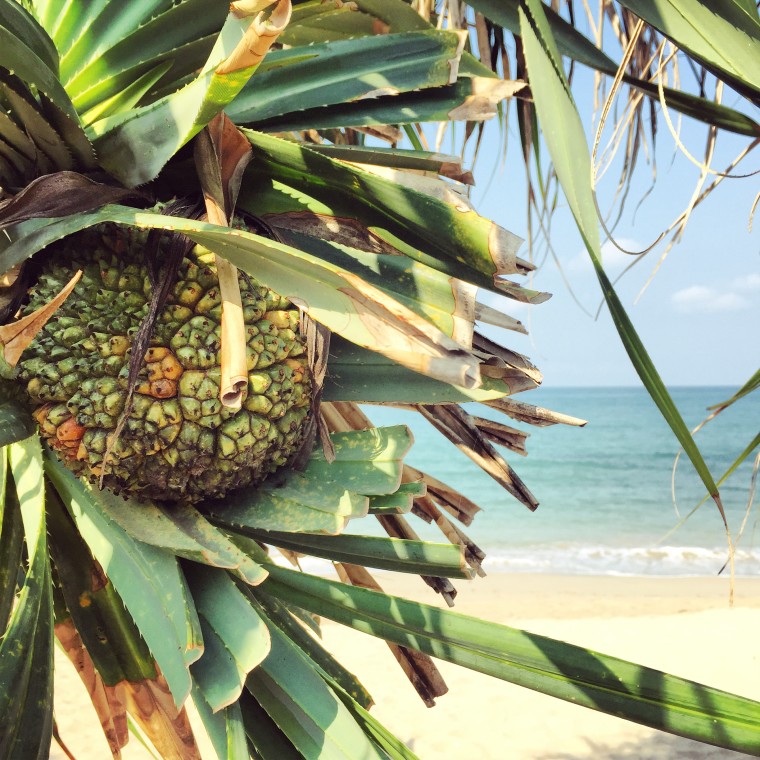 18 Rules to Eat Cheap, Safe & Well While Traveling Extra