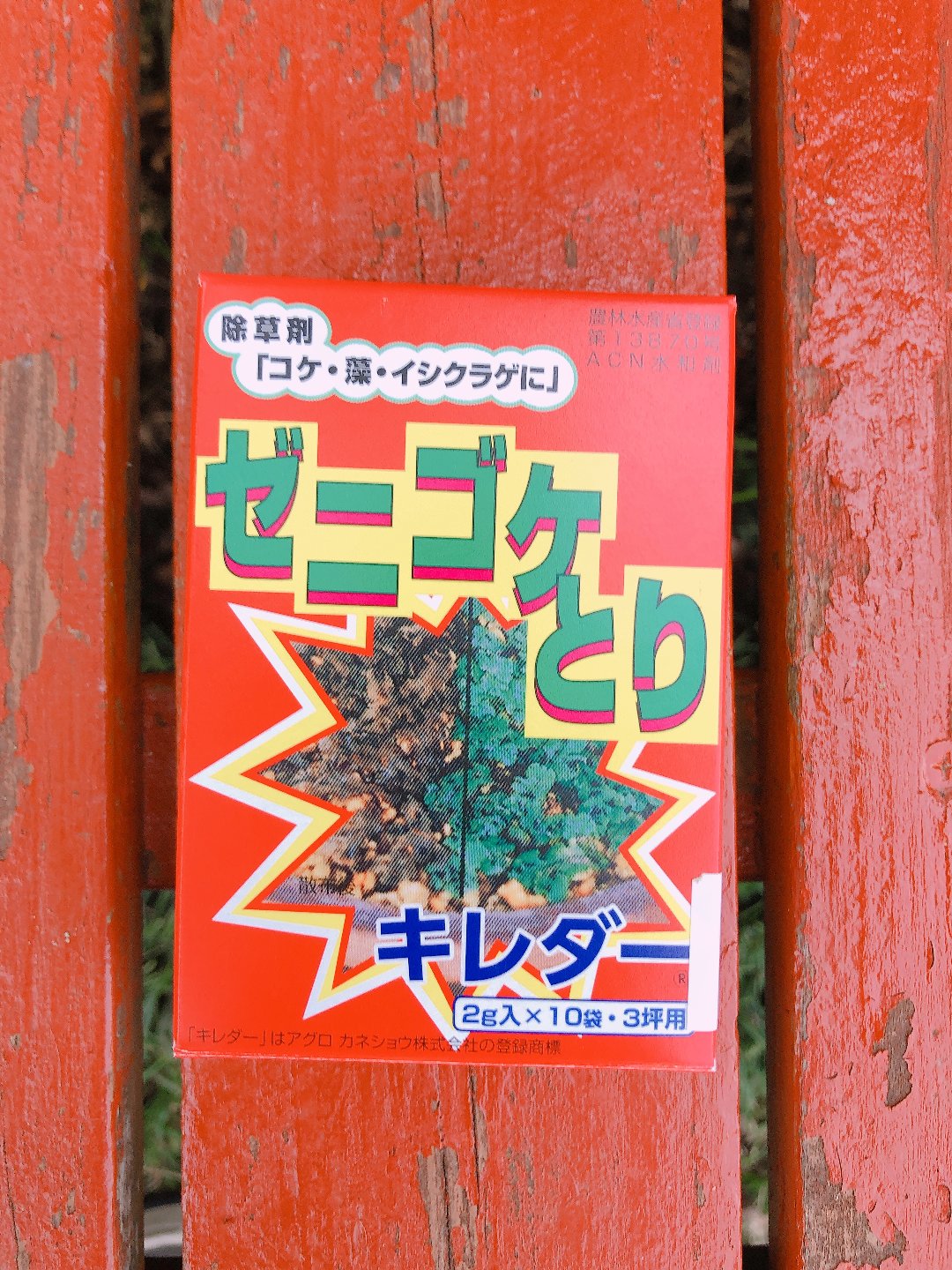 ゼニゴケ退治に効く除草剤キレダーは芝生にも影響なく安心して使用できます！ えーやんそれ