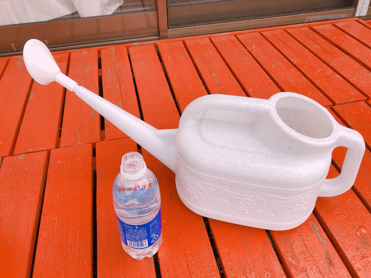 ゼニゴケ退治に効く除草剤キレダーは芝生にも影響なく安心して使用できます！ えーやんそれ