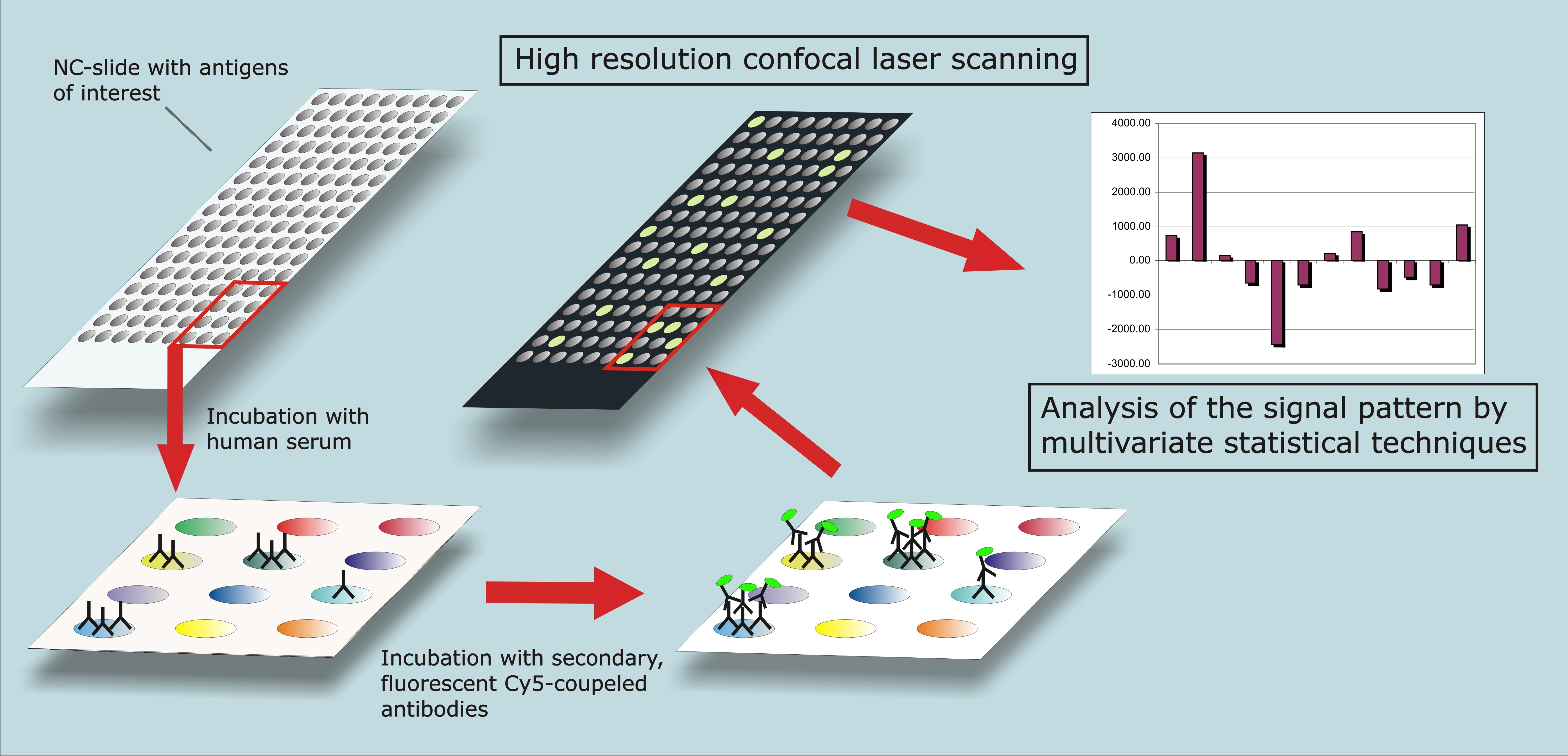 Experimental Ophthalmology Mainz Protein Microarray techniques