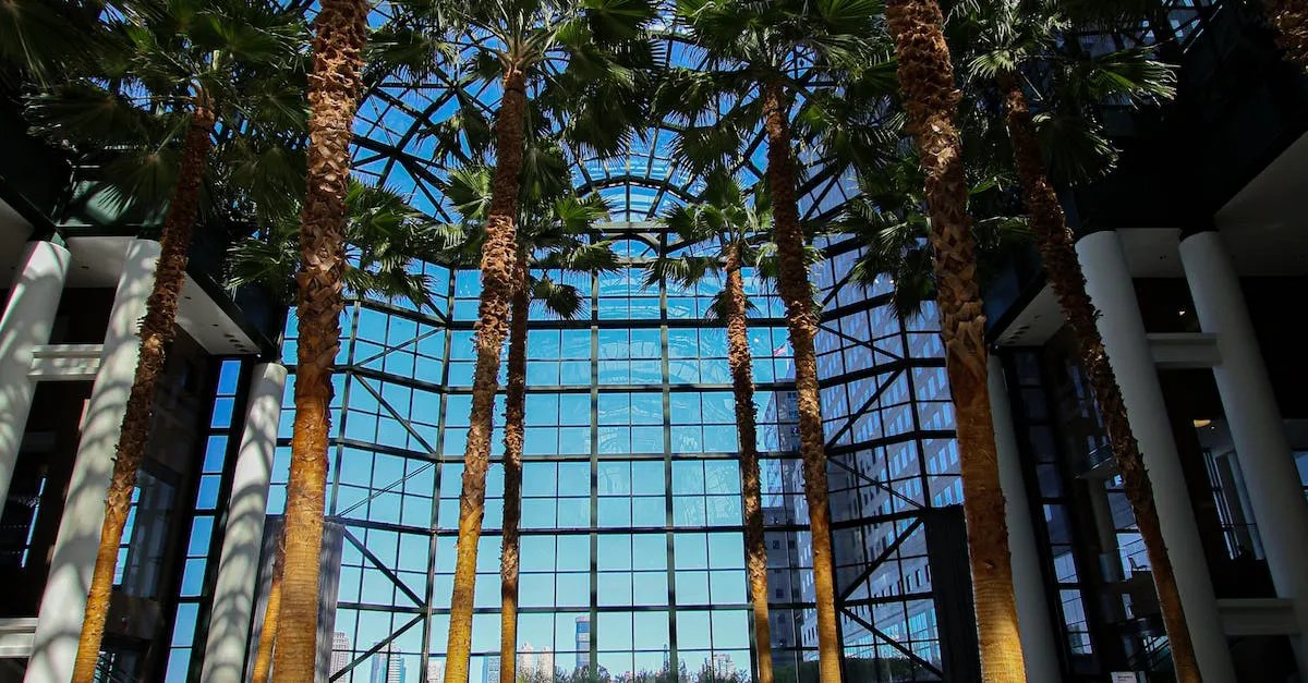 Are There Palm Trees In New York? Eye And Pen