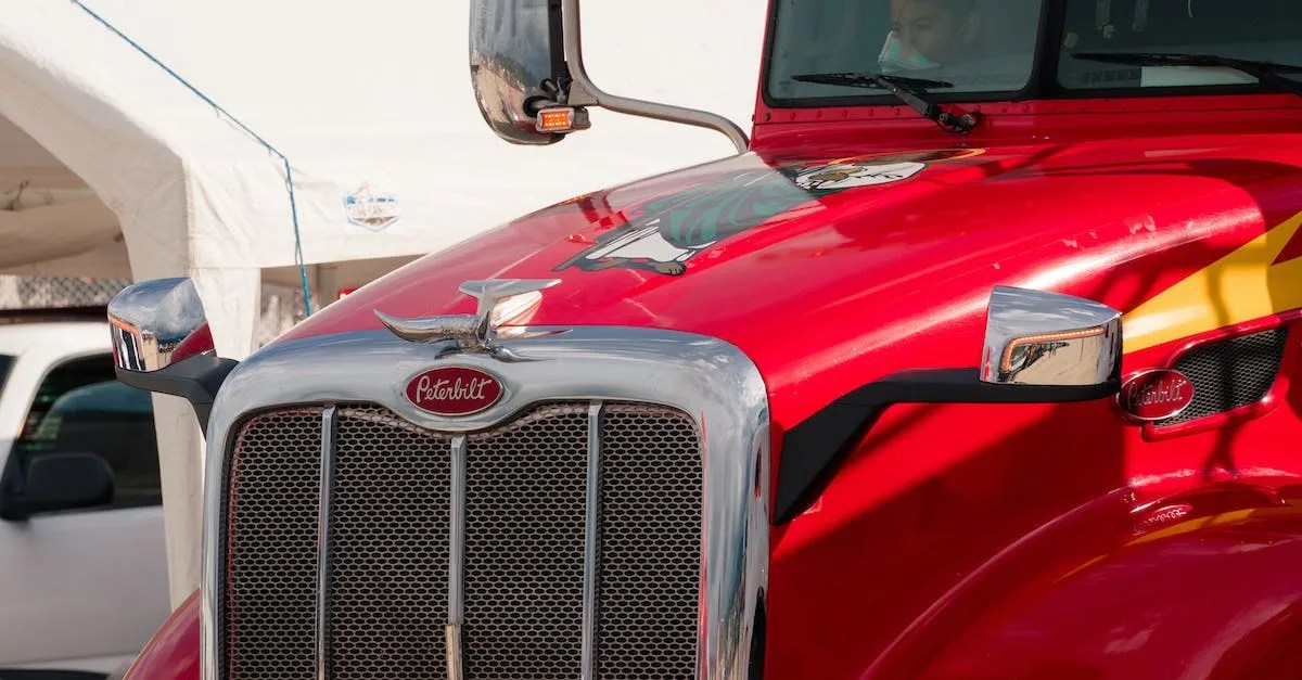 Are Truck Nuts Illegal In Florida? A Detailed Look At The Laws Eye