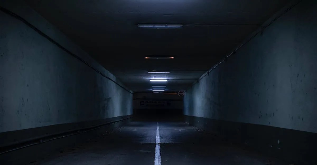 Can You Build An Underground Bunker In Florida? Eye And Pen