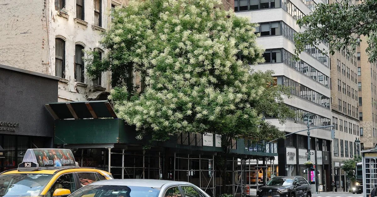 Getting From Greenwich, Ct To New York City Distance, Transportation Options And More Eye And Pen