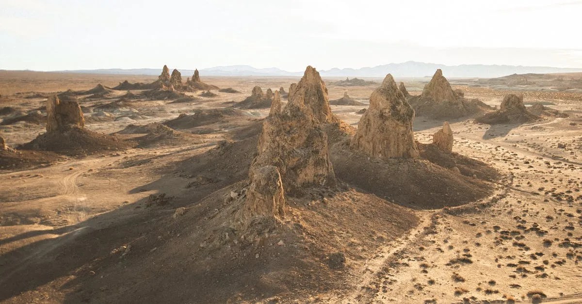 How Far Is It From Arizona To Texas By Plane? Flight Times And