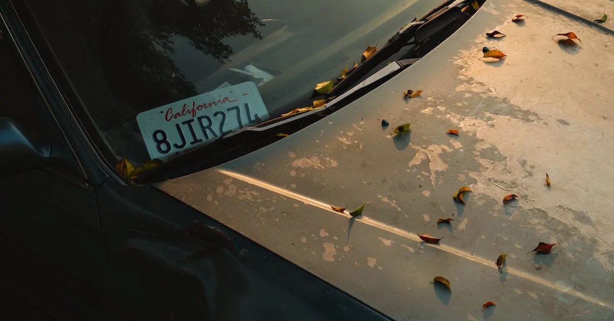 Looking Up California Vanity Plates A Guide Eye And Pen