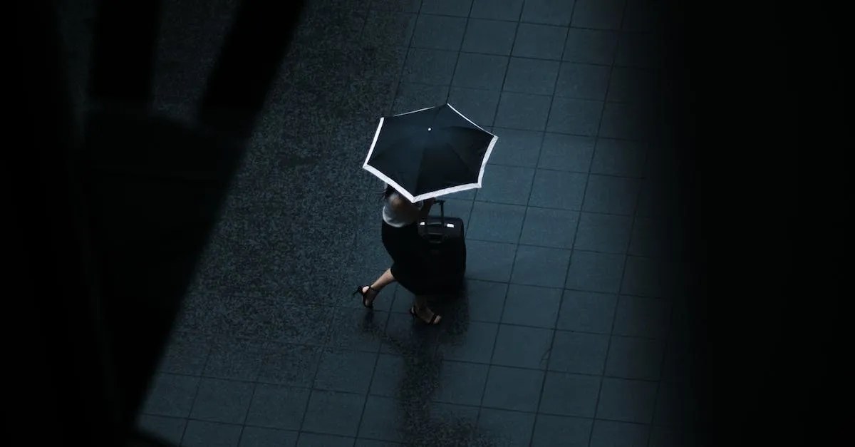 Getting From Fort Lauderdale To Miami On A Budget The Cheapest