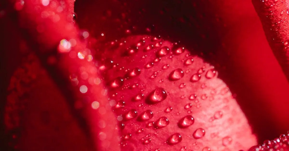 Why Does Florida Water Smell? Exploring The Science Behind The State'S