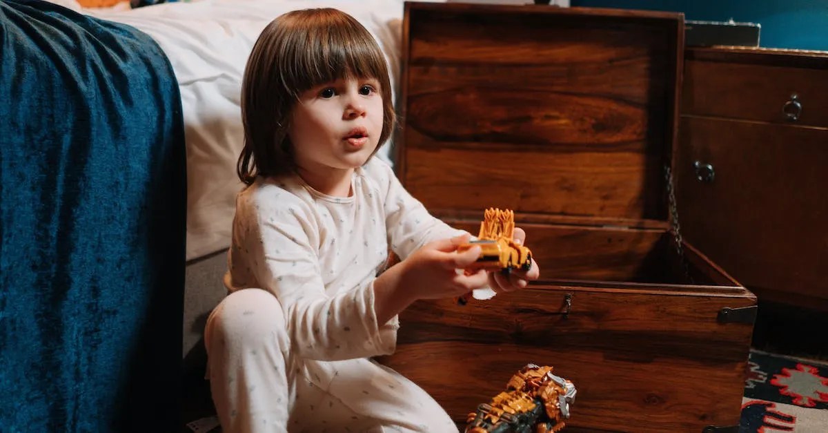 Duncan Toy Chests In New York A Complete Guide Eye And Pen