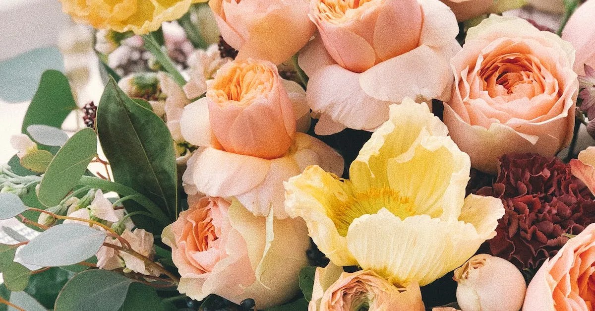 When Do Roses Bloom In California Eye And Pen