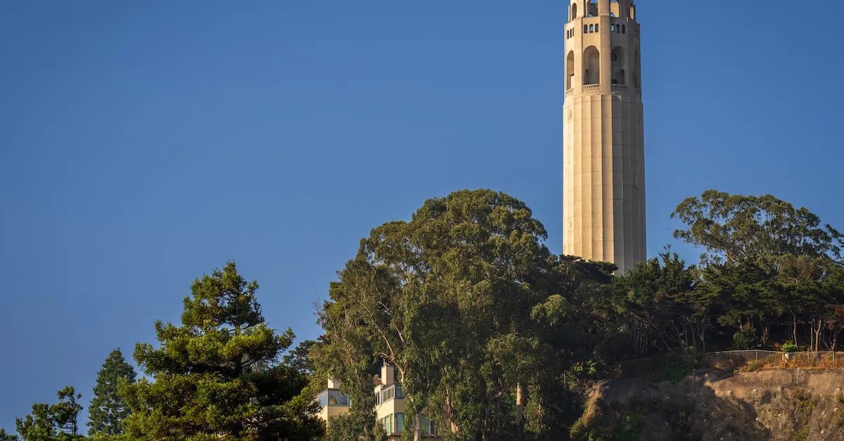 Is The Springfield Hellcat Legal In California? What Owners Need To