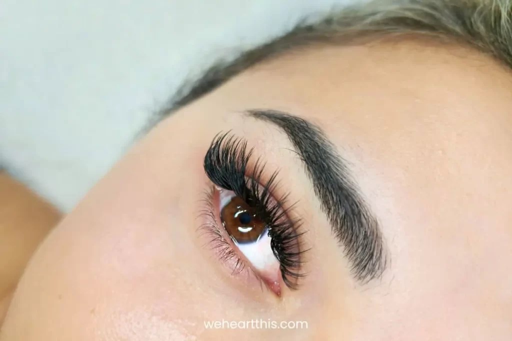 Cluster Lashes Everything You Need to Know About This Beautiful