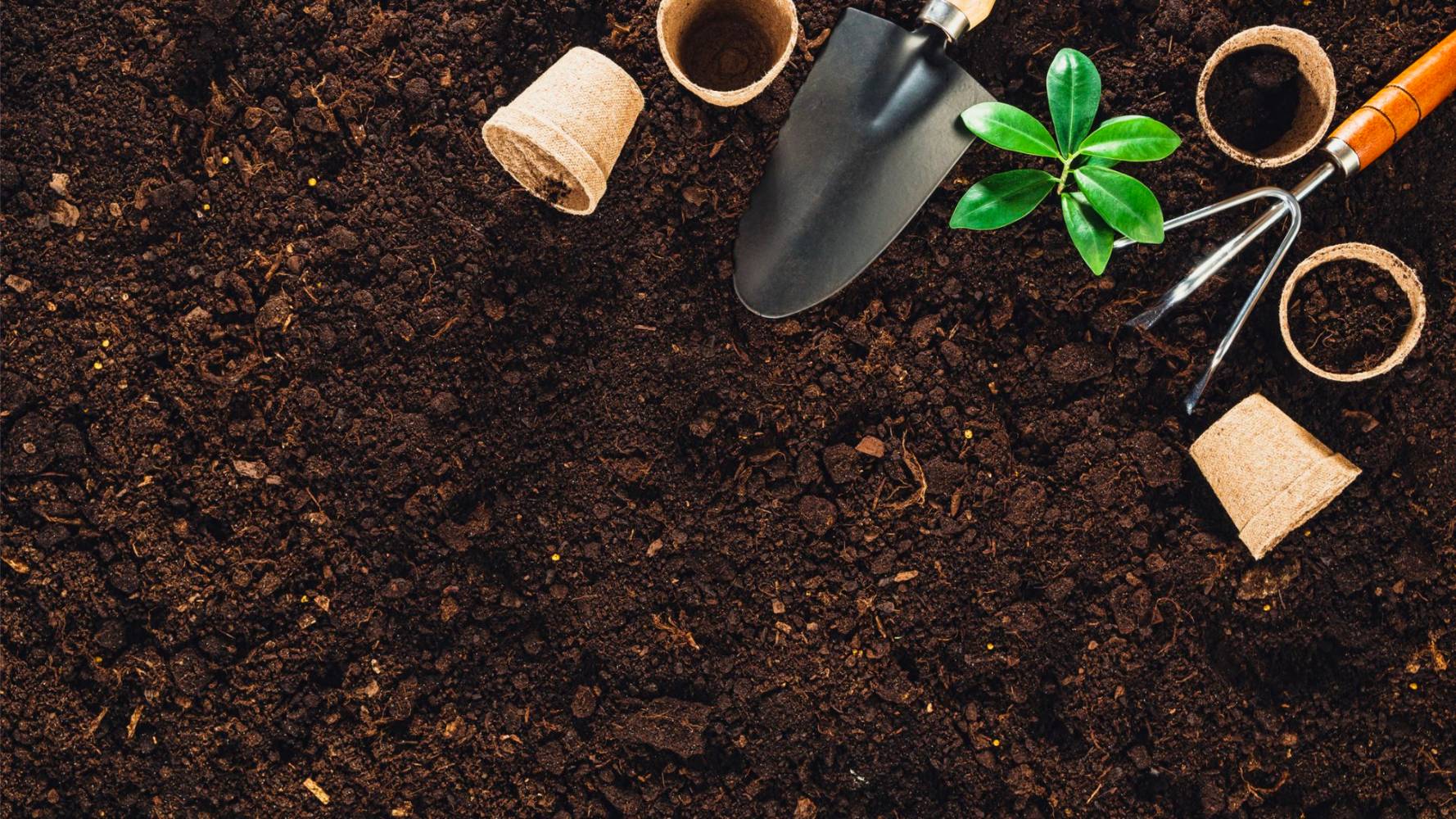 Garden Soil 101 Beginner's Guide to Gardening EZScreen