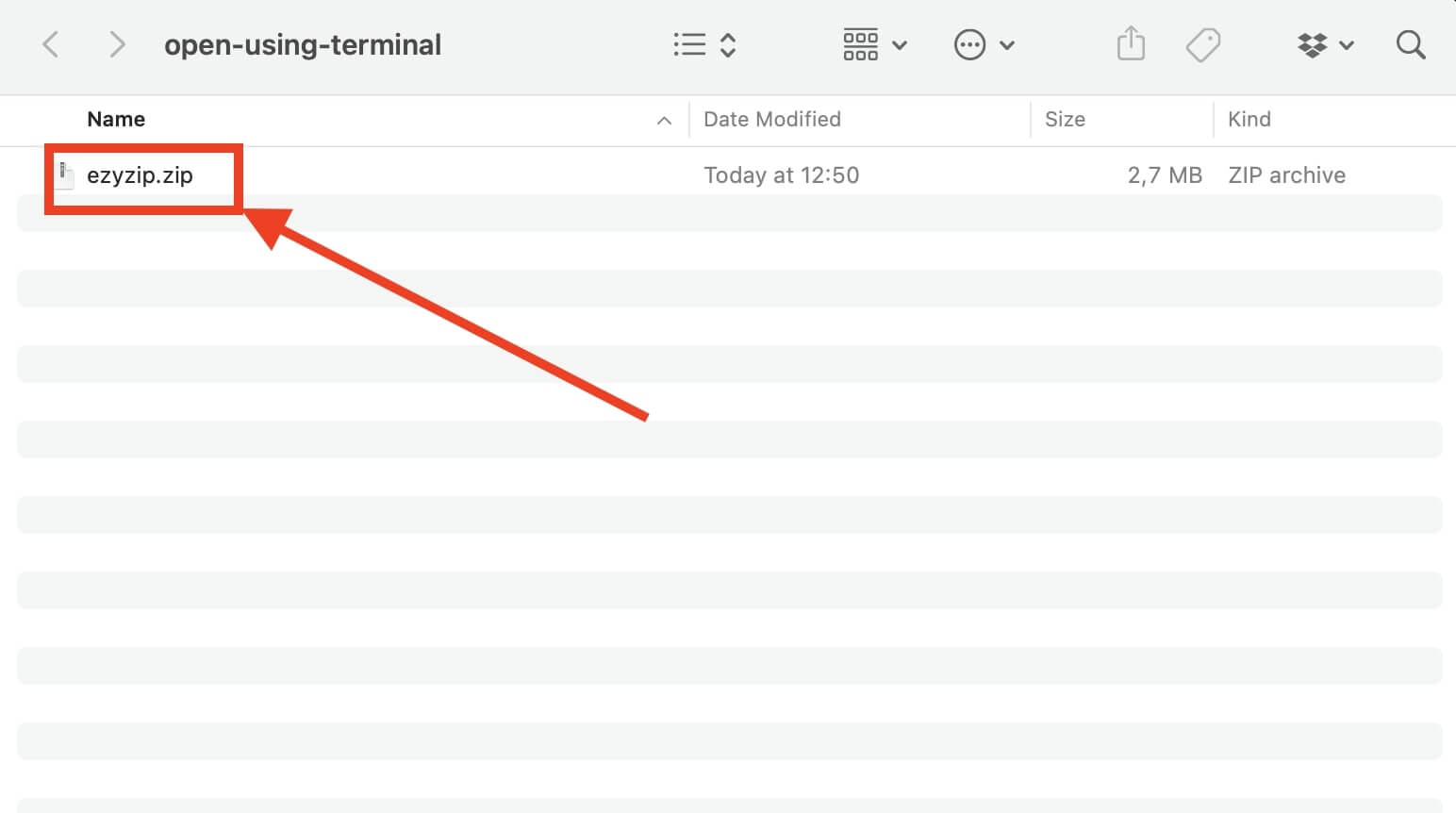 How to Open Password Protected ZIP File on macOS (4 Methods)