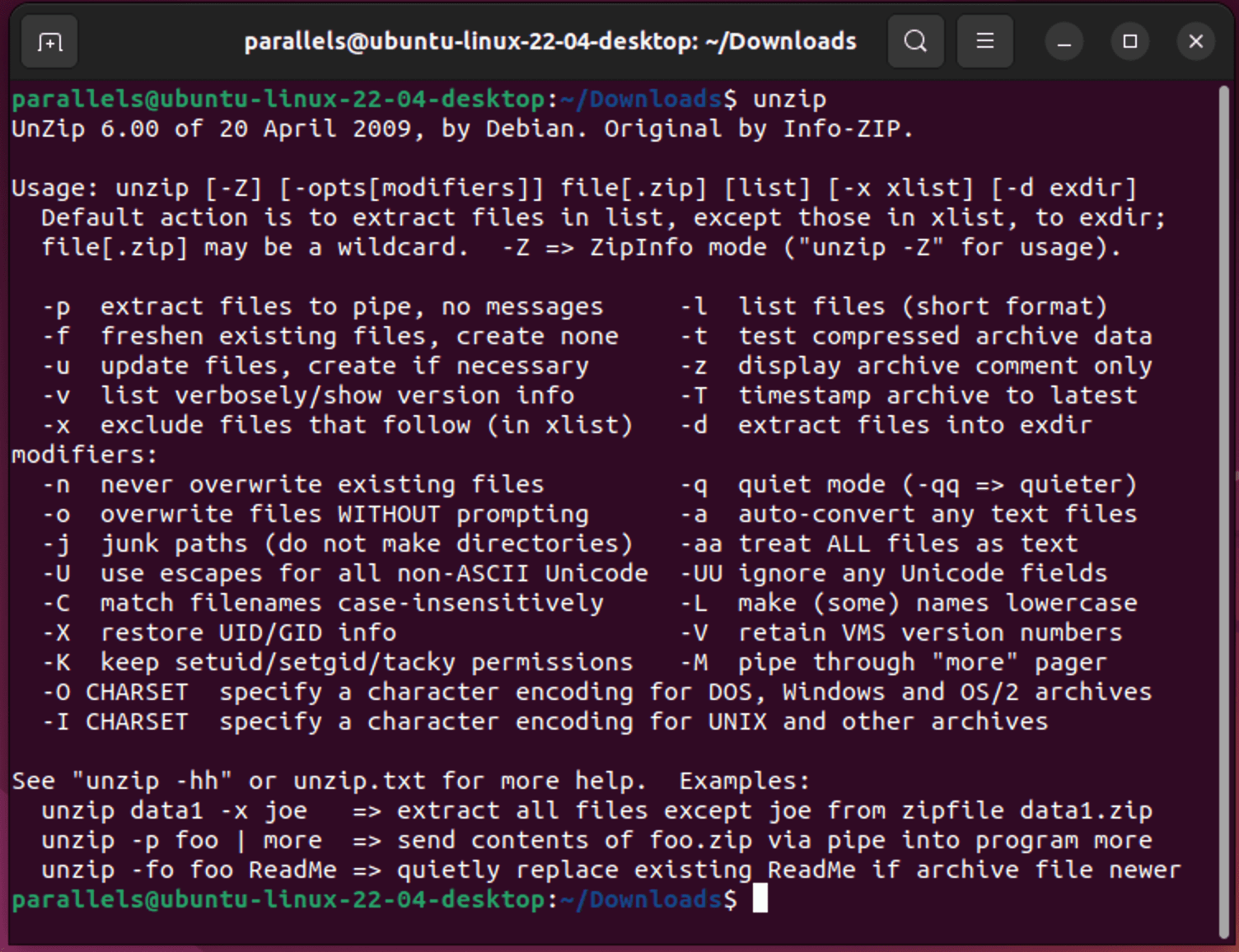 How To Unzip Files in Linux (4 Methods)
