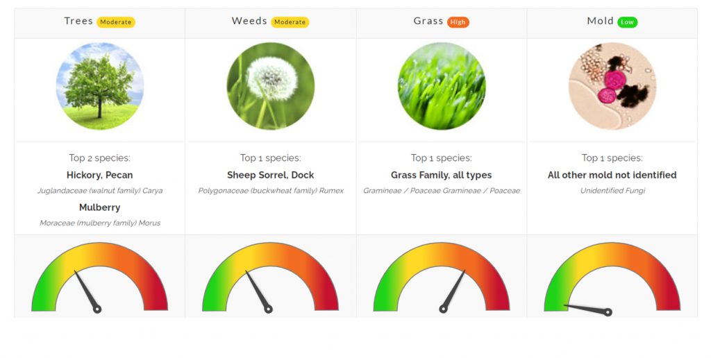 Pollen Count May 14, 2021 Family Allergy & Asthma Care