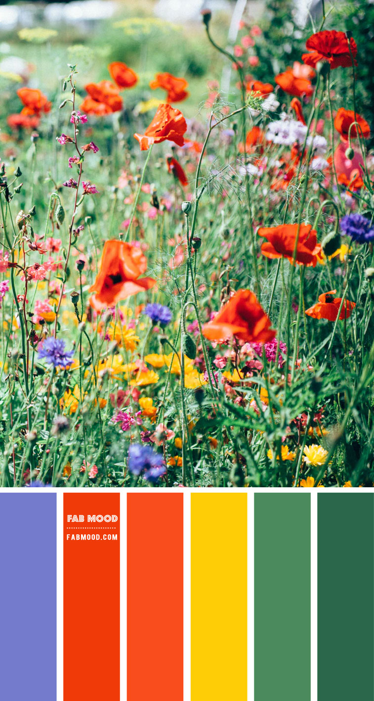 Blue, Bright Orange, Green and Yellow Colour Combo Colour Palette 95