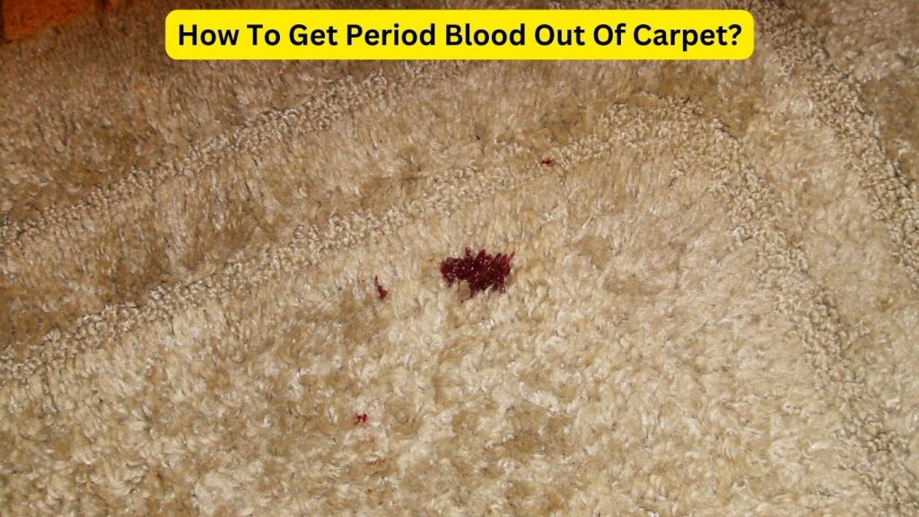 How To Get Blood Out Of Carpet Easy Ways