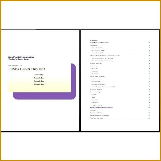 3 Fundraiser event Program Template FabTemplatez