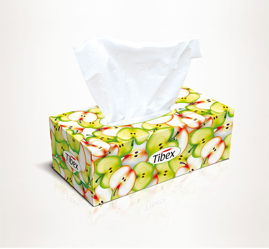 Tibex Tissue Box Designs Market New Tissue box design 029 in psd
