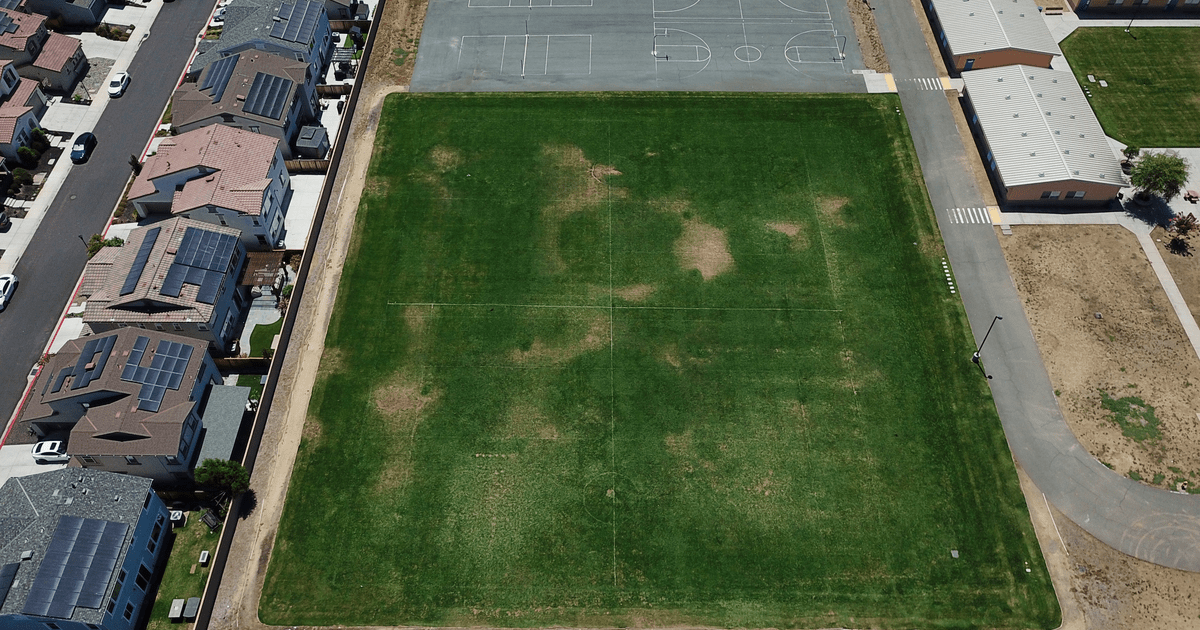 Rent a Field (Large) in Brentwood CA 94513