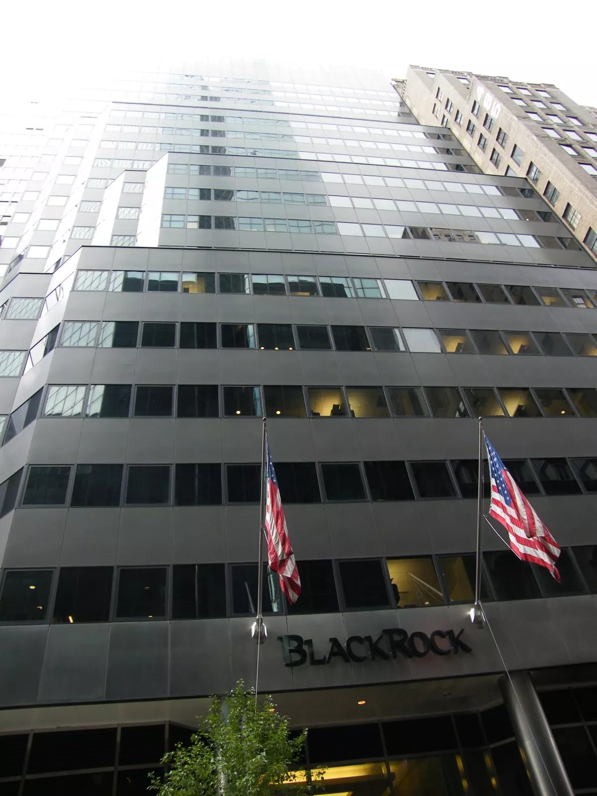 25 Facts About BlackRock FactSnippet