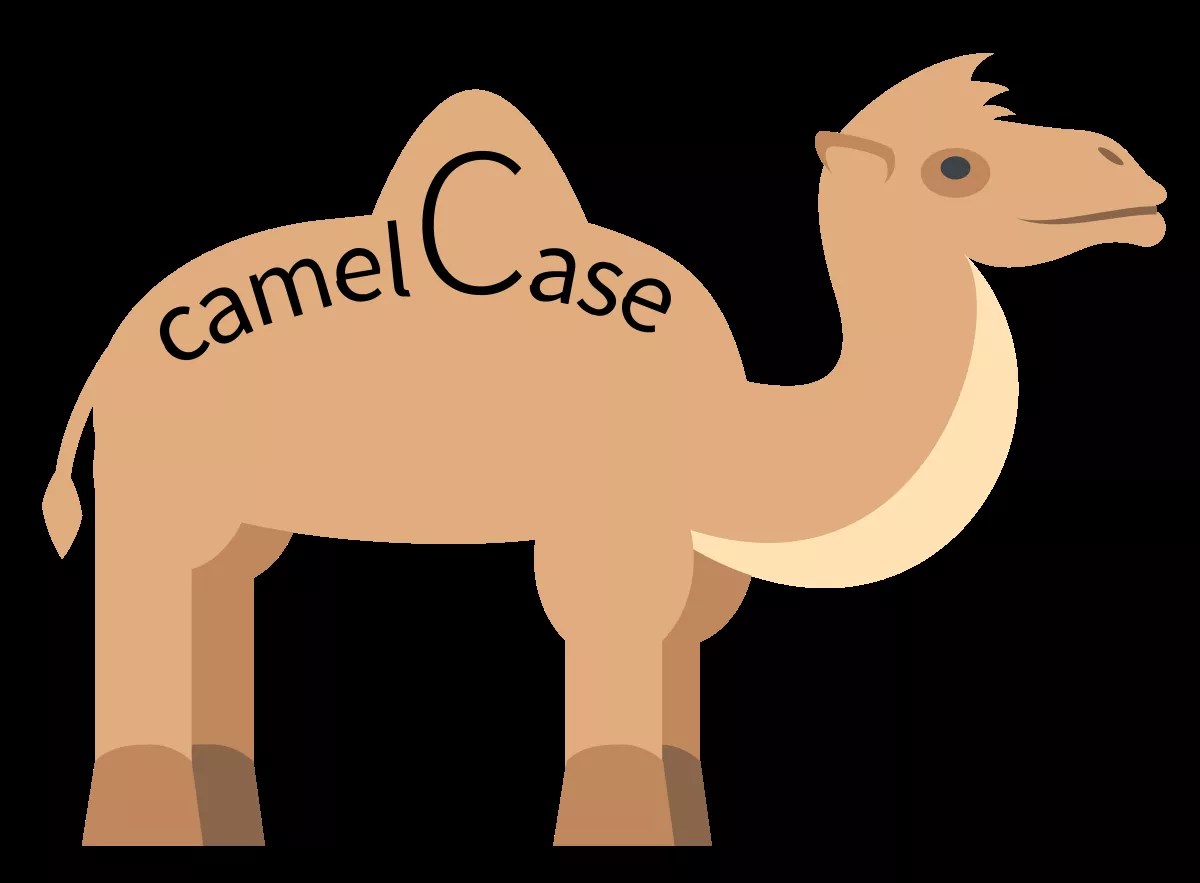 11 Facts About Camel case FactSnippet