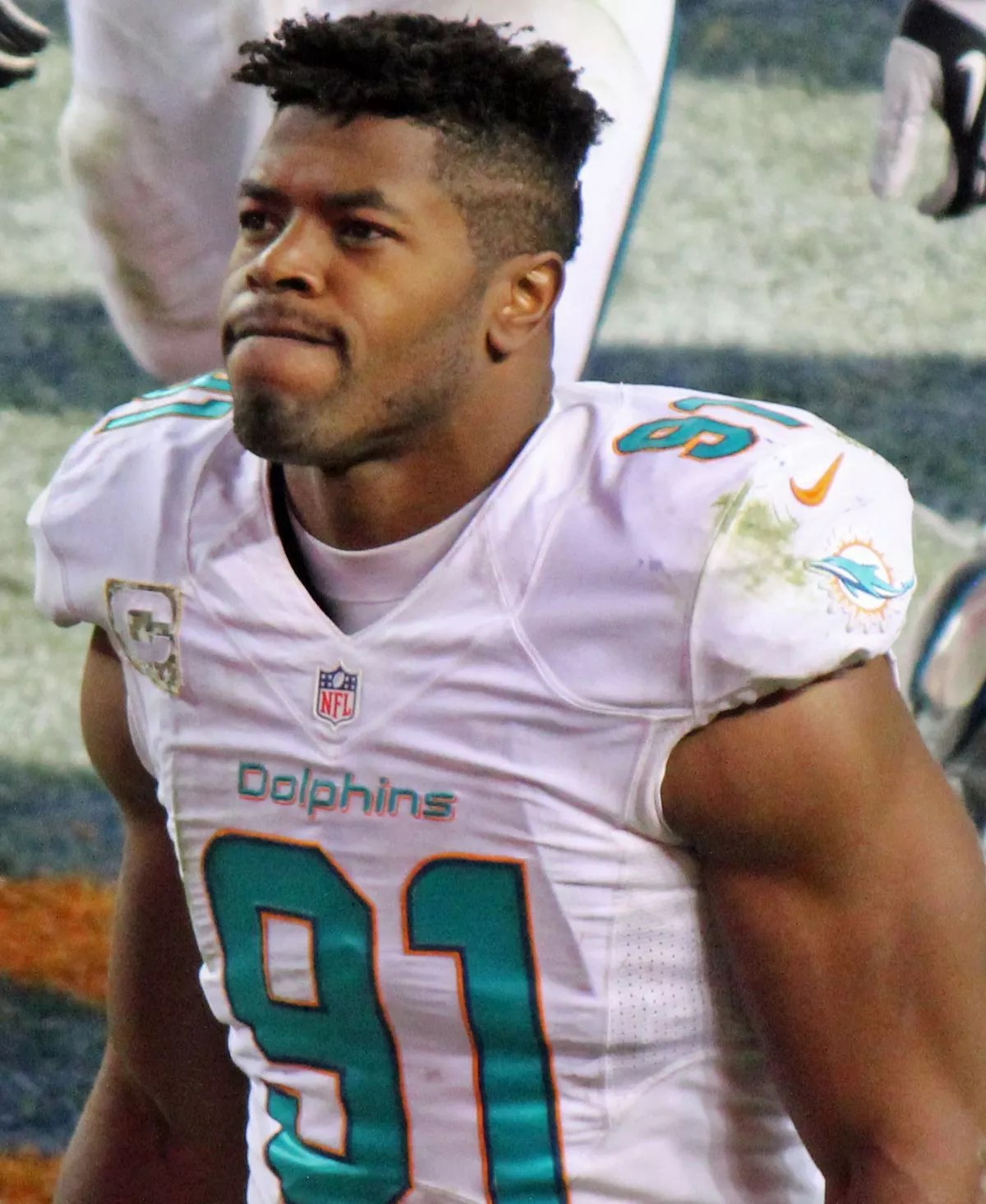 37 Facts About Cameron Wake FactSnippet