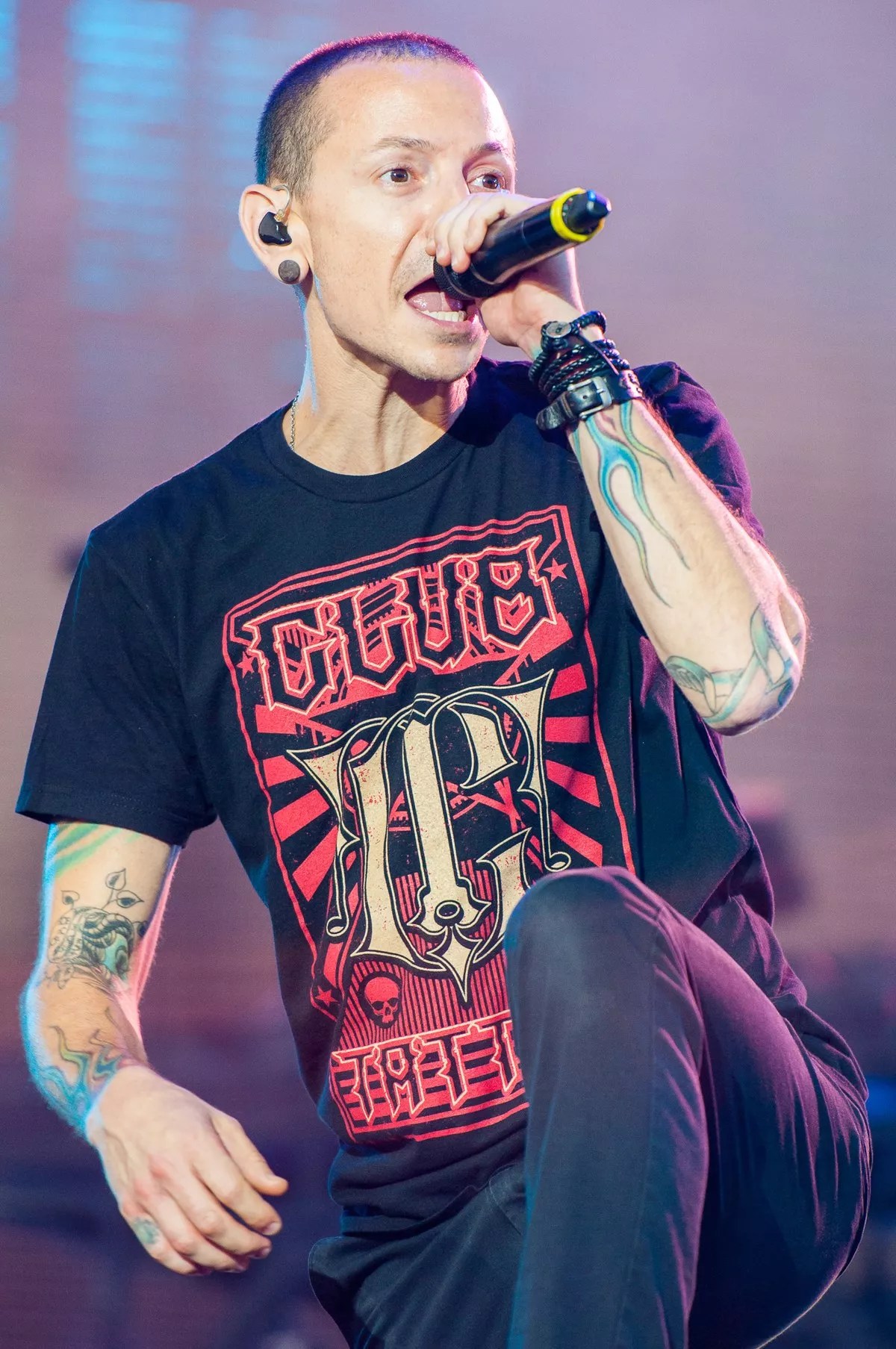 62 Facts About Chester Bennington FactSnippet