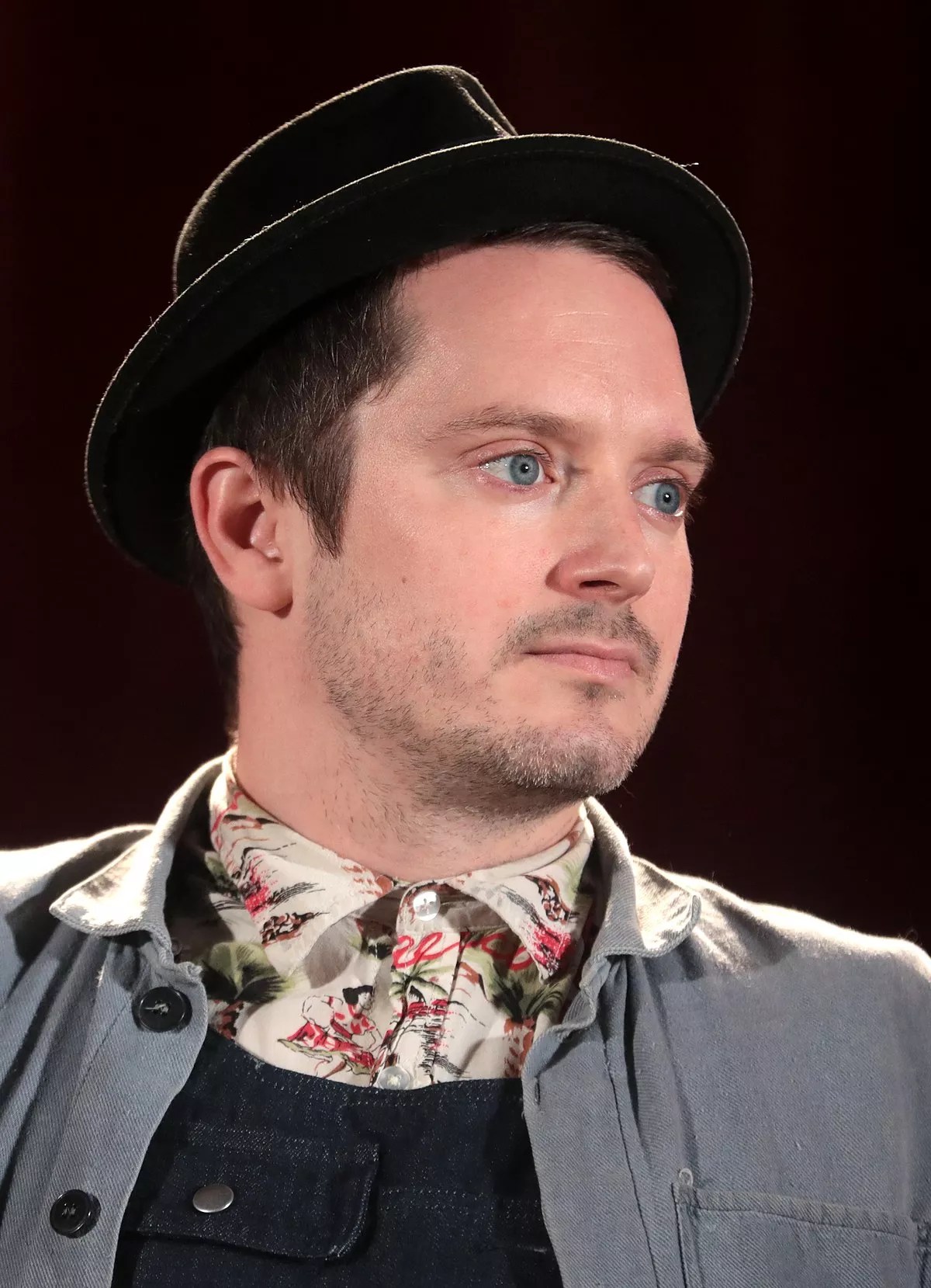 47 Facts About Elijah Wood FactSnippet