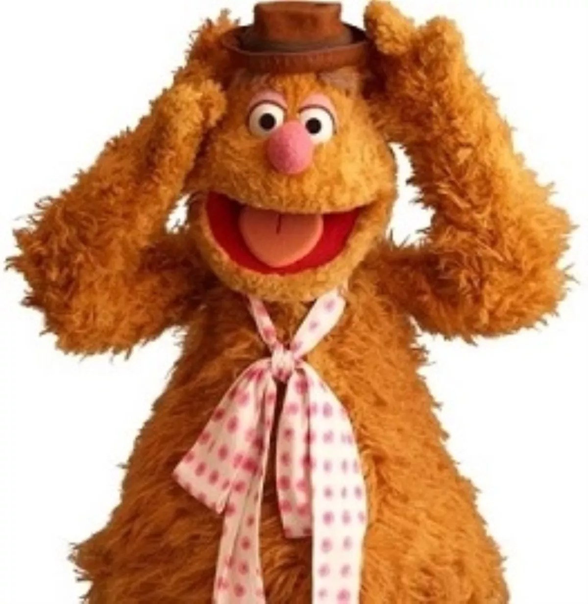 13 Facts About Fozzie Bear FactSnippet