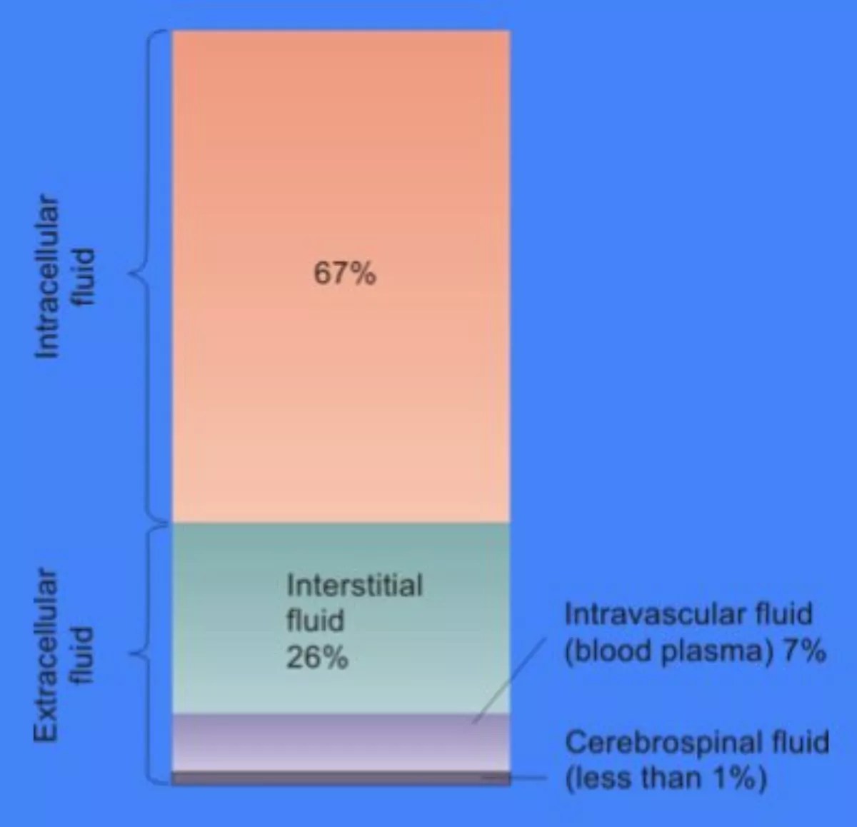 12 Facts About Interstitial fluid FactSnippet