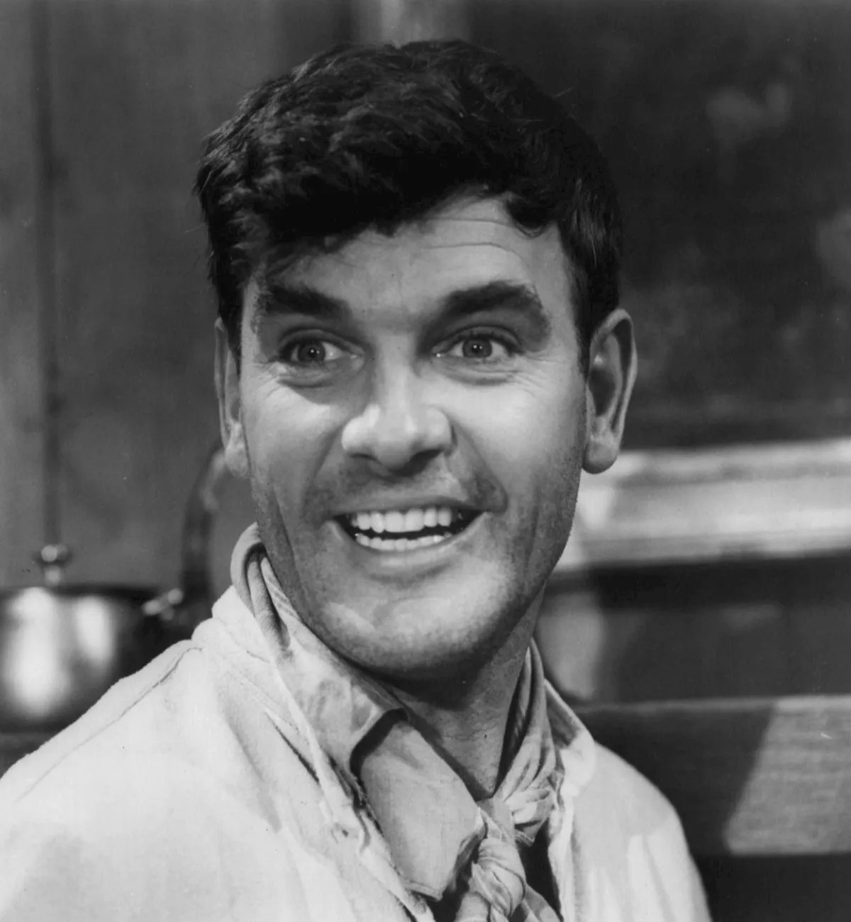 25 Facts About James Best FactSnippet