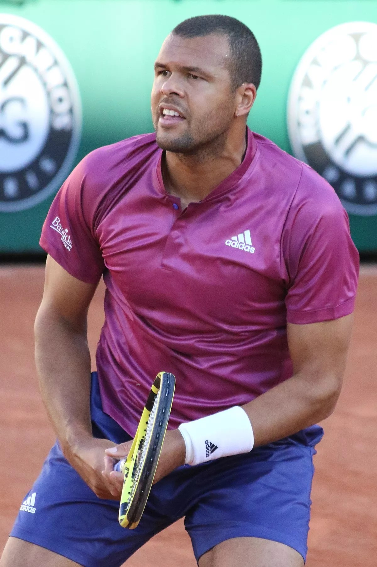 222 Facts About JoWilfried Tsonga FactSnippet