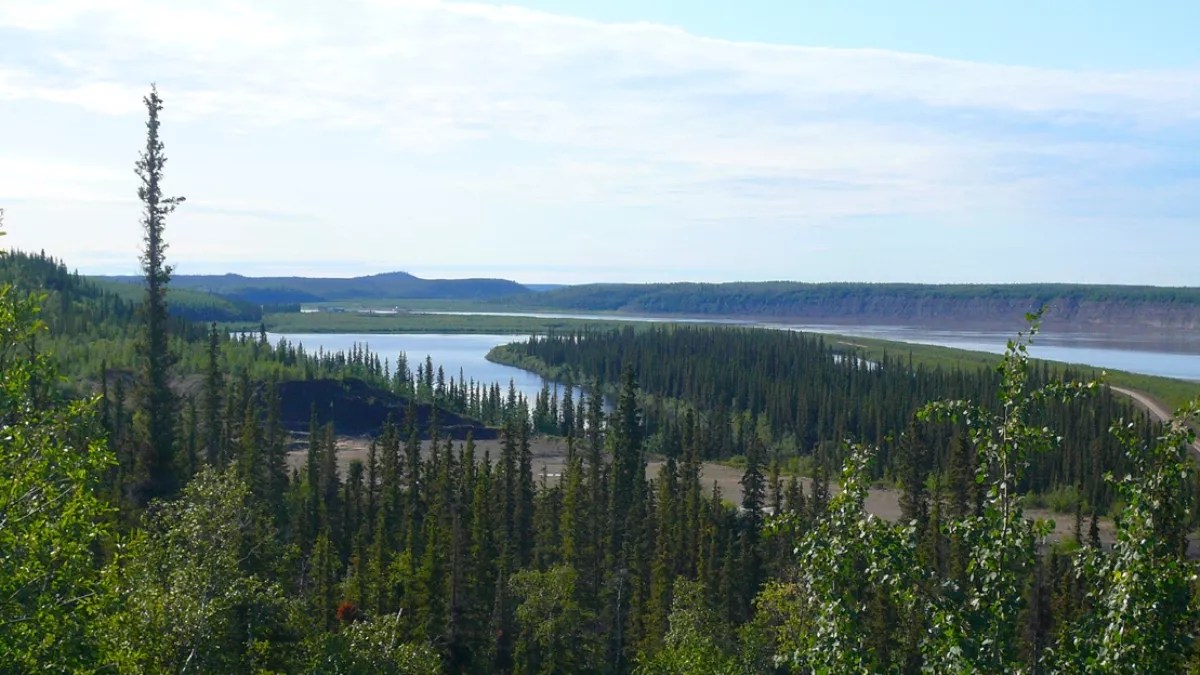 13 Facts About MacKenzie River FactSnippet