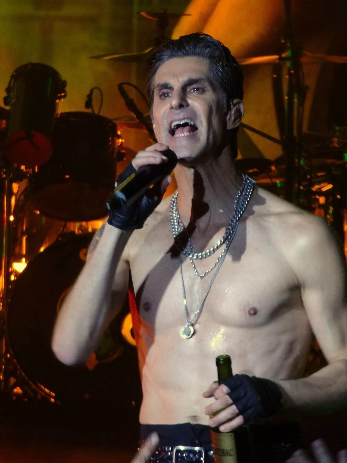 33 Facts About Perry Farrell FactSnippet