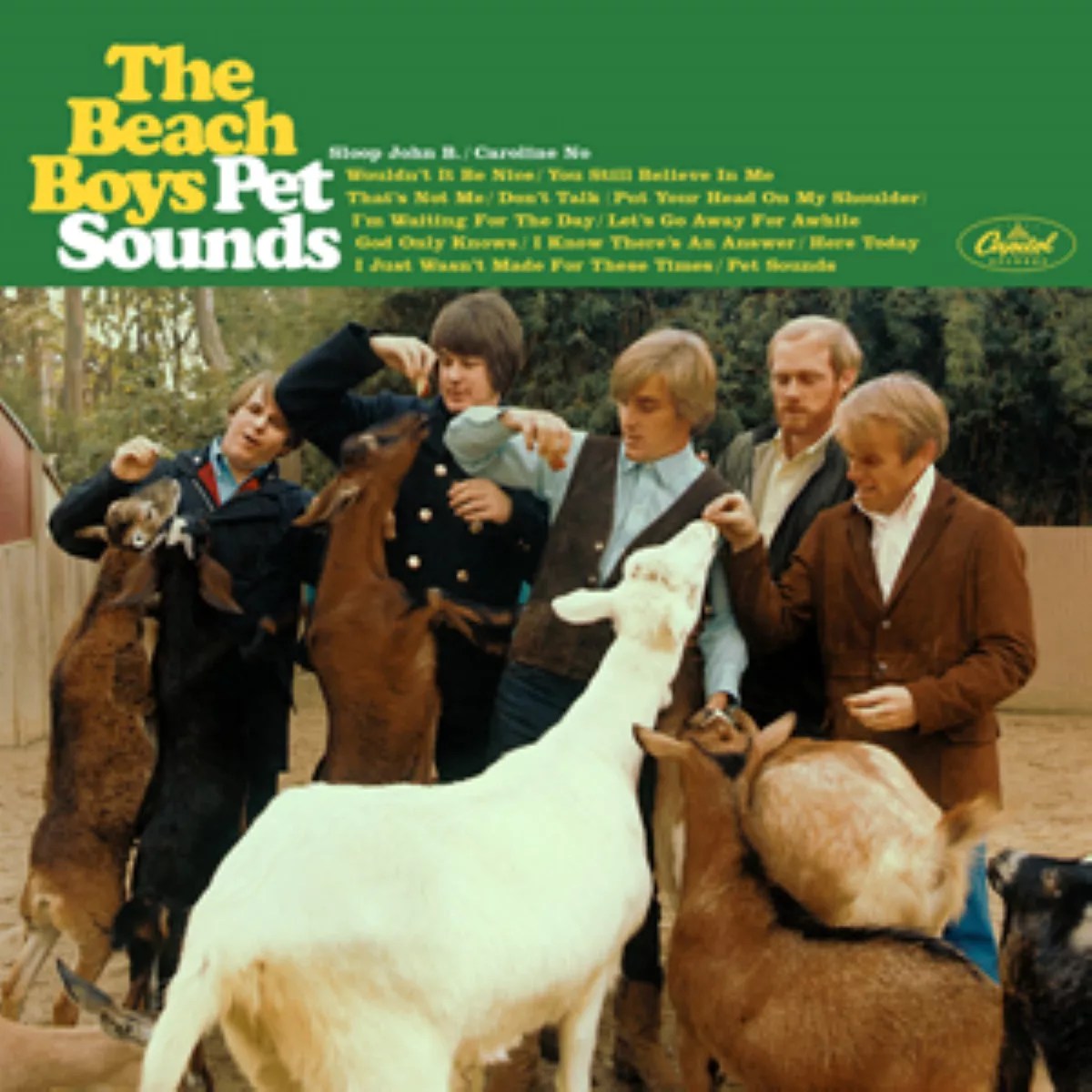 36 Facts About Pet Sounds FactSnippet