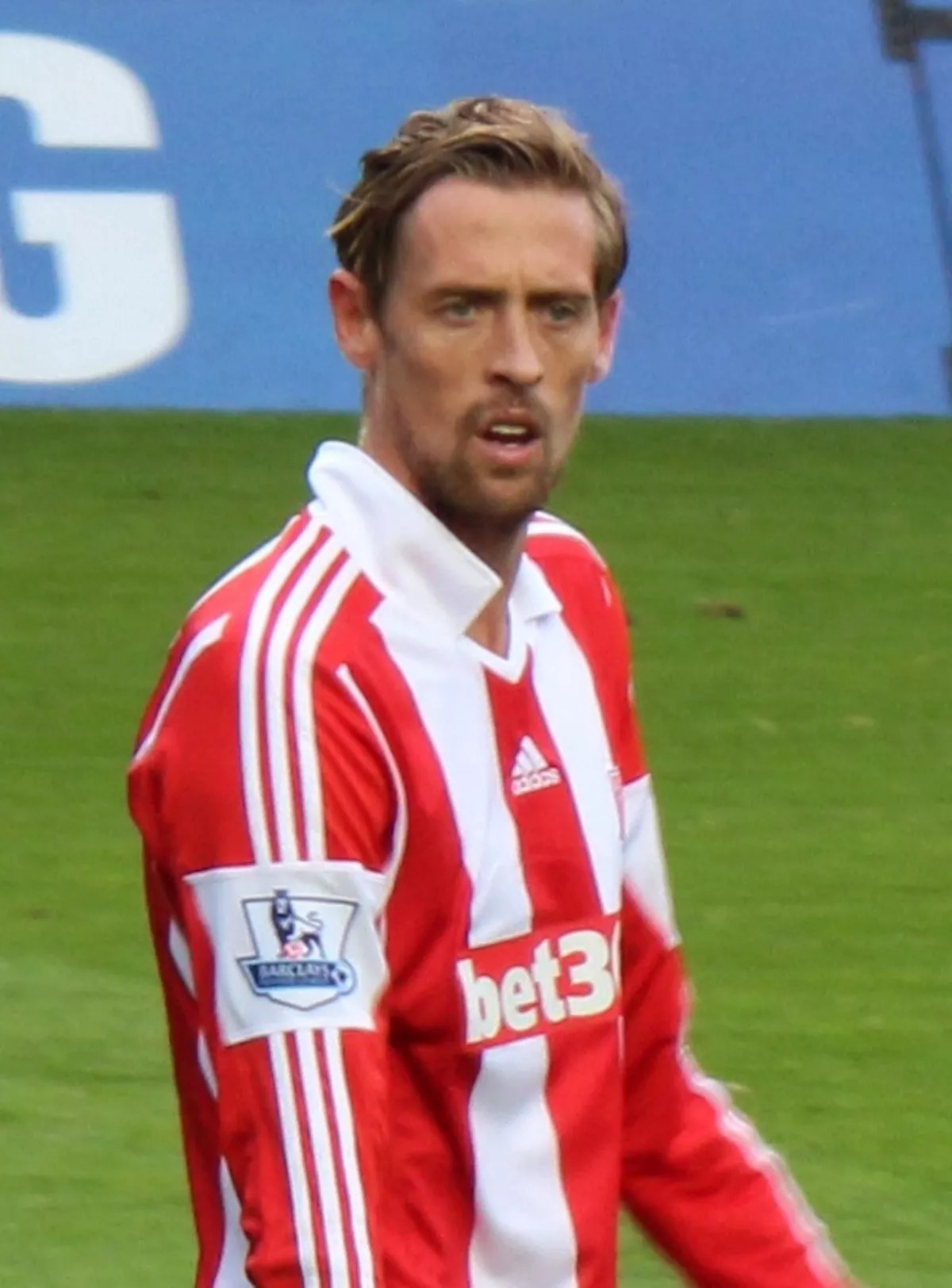 70 Facts About Peter Crouch FactSnippet