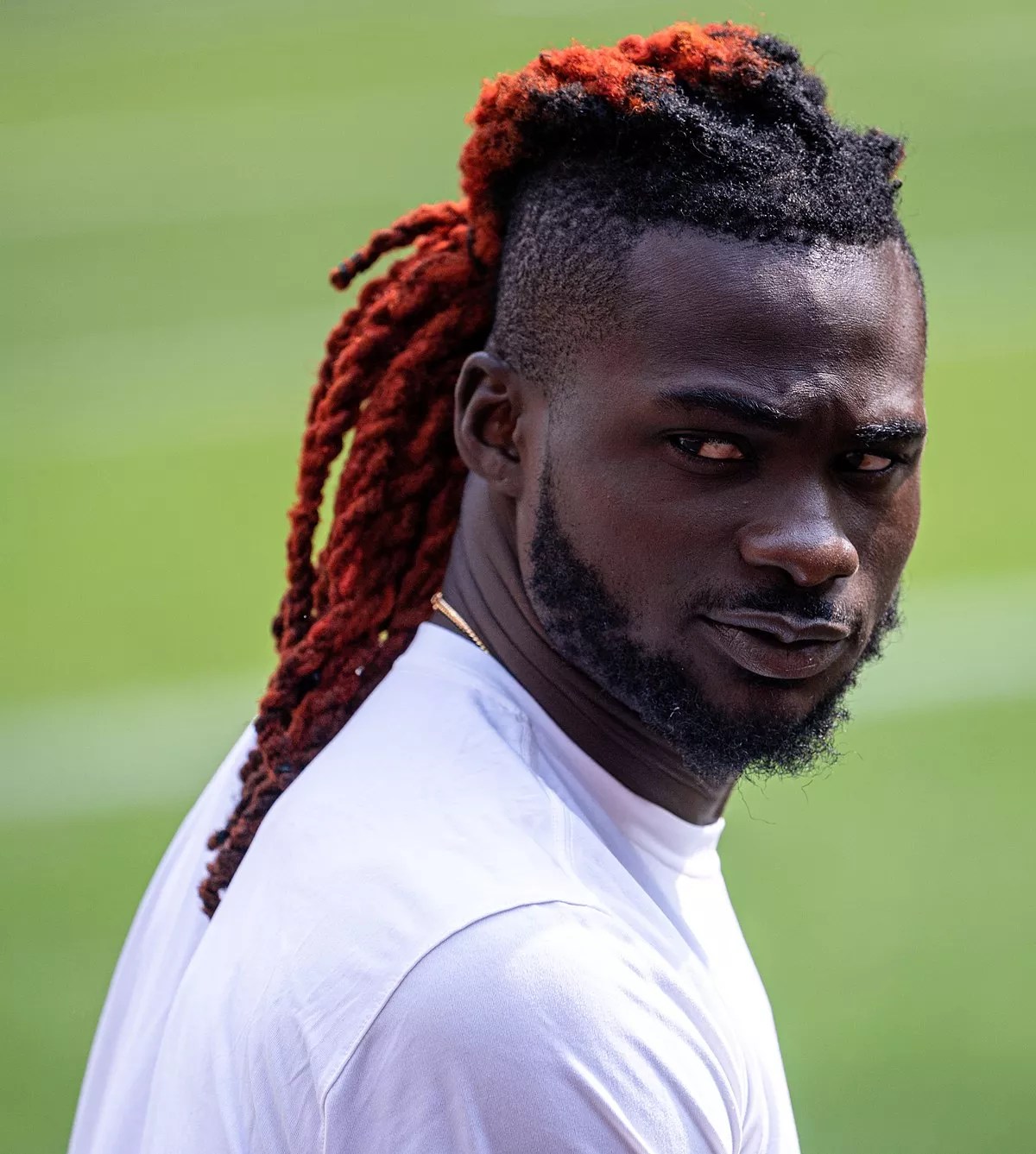 14 Facts About Ronnie Harrison FactSnippet