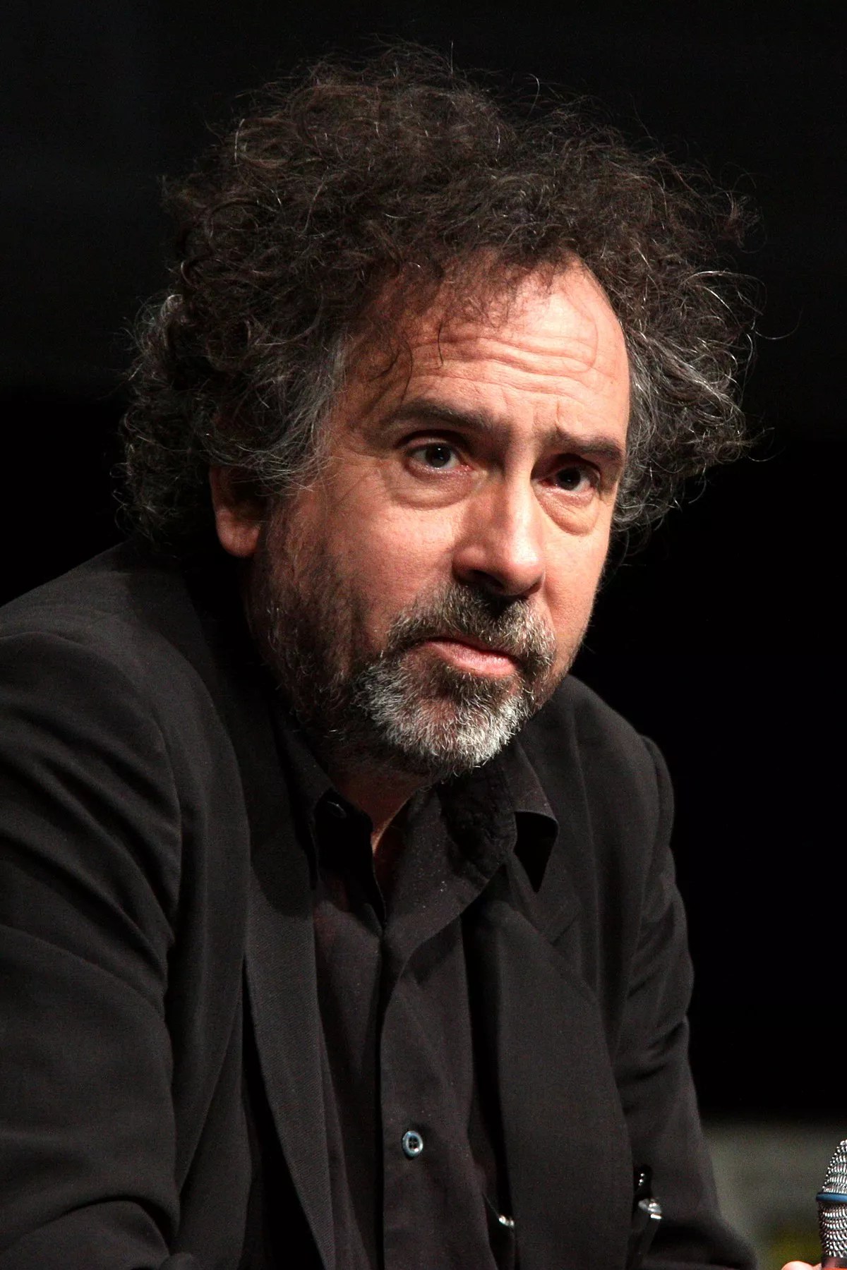 45 Facts About Tim Burton FactSnippet