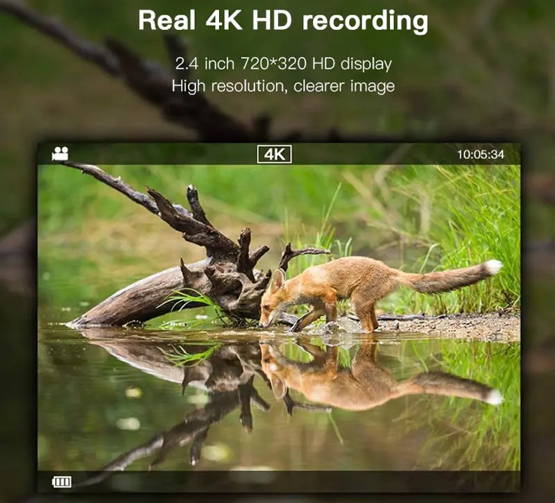 A Guide To Best Trail Cameras For The Money